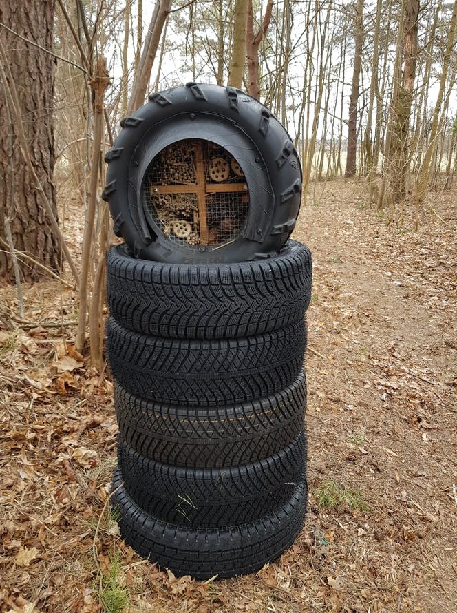 Park Oponarium w Dźwierzutach. Nowe miejsce rekreacji zaskakuje! [ZDJĘCIA]