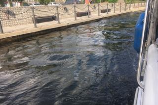 Zobacz, jakie piękne jest nasze miasto 