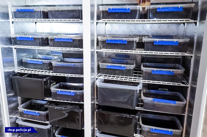 Policjanci z Łodzi wykryli dwa laboratoria produkujące narkotyki. Były w nich substancje warte 12 mln zł!