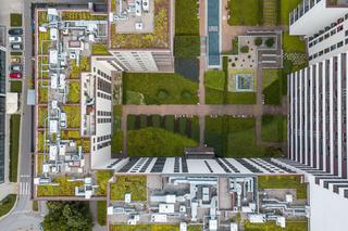 Pracownia BE DDJM zmienia nazwę na Baumschlager Eberle Architekci Kraków