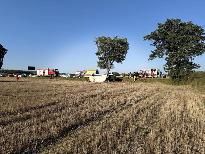 Tragiczny Wypadek Busa z Dziećmi w Miejscowości Lechów