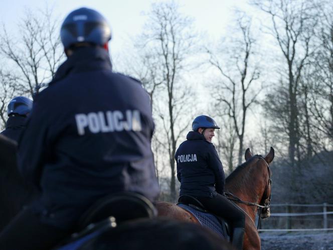 Policja konna z Poznania ma nowego współpracownika