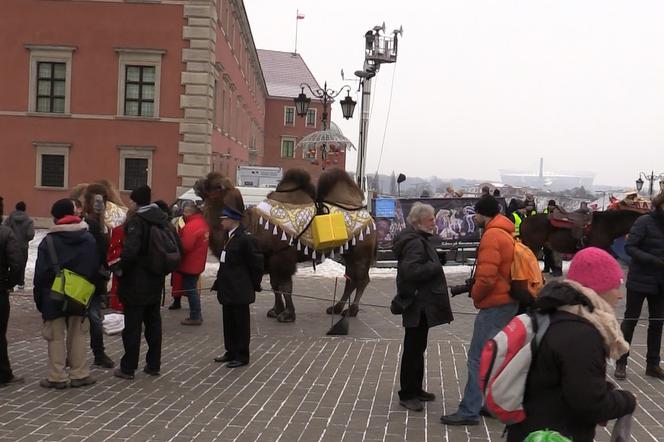 Orszak Trzech Króli 2016 w Warszawie