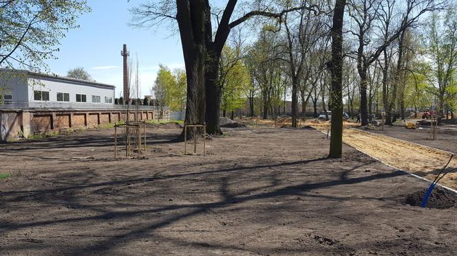 Od dziś otwarte lasy i parki. Ale parki Heermanna i Jonstona wciąż ogrodzone