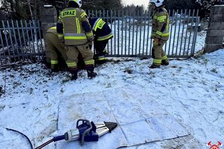 Strażacy uratowali sarenkę