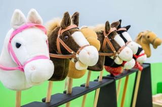 V Regionalne Zawody Jeździeckie w Skokach oraz Hobby Horse w Tynwałdzie