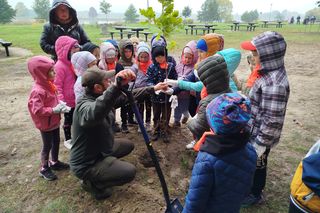Dębowy Elektryczny Las został zasadzony nad Siedleckim zalewem w ramach programu Polska Stolica Recyklingu
