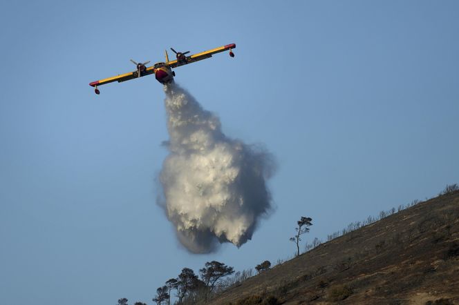 Znowu pożary w Grecji! Żywioł jest blisko Aten