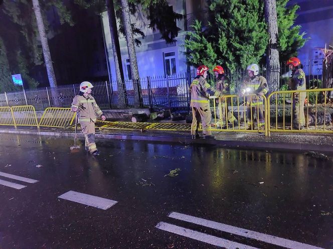 W Samborcu konar drzewa spadł na samochód. Jedna osoba ranna