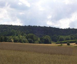 To najwyższy naturalny szczyt województwa łódzkiego. Mało kto o nim słyszał