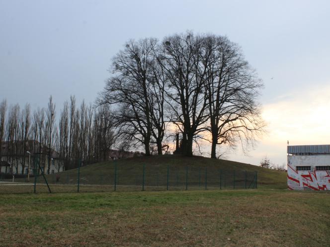 Wzgórze Napoleona w Szczecinie