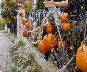 Willa na Jaśkowej Dolinie znów ozdobiona. Tym razem przechodniów zaskakują halloweenowe straszydła!