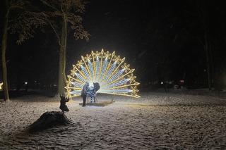 Baśniowe Zatonie w Zielonej Górze. Pojawiły się tłumy ludzi