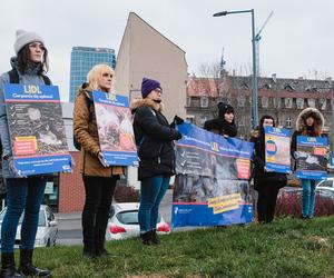 Protest przed sklepem Lidl w Katowicach