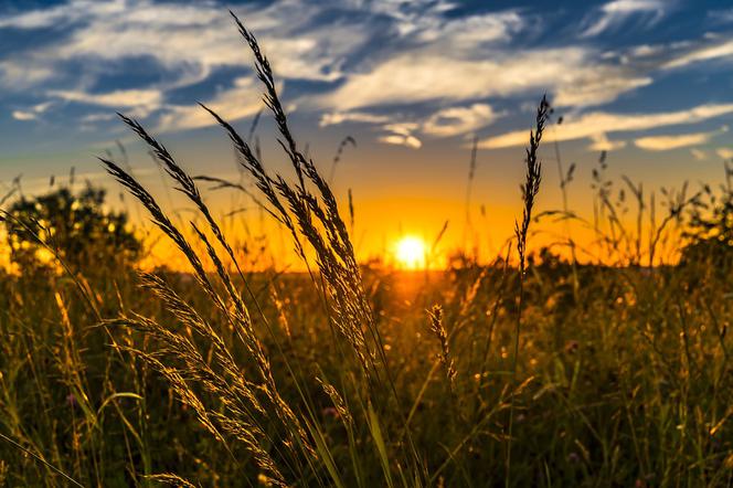 11 lipca to najładniejszy dzień w tym tygodniu. Słońce zdominuje Toruń i okolice