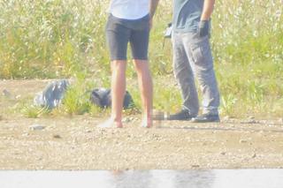 Szczątki nad Wisłą 