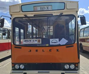 II Zlot Zabytkowych Autobusów w Starachowicach