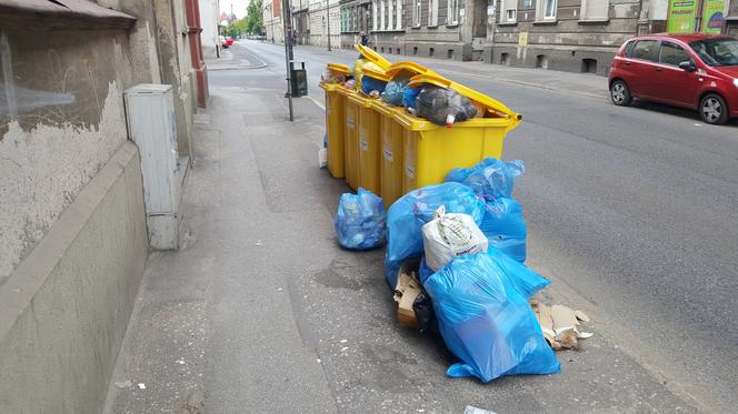 Bydgoszczanie mają już dość! Wciąż toną w śmieciach!