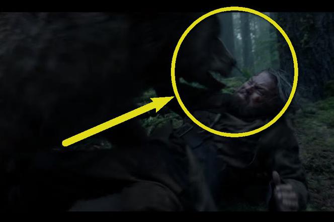The Revenant - Zjawa - Leonardo DiCaprio zgwałcony przez niedźwiedzia