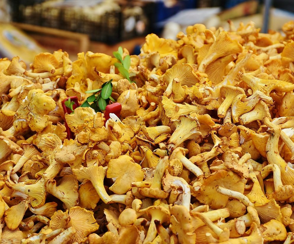 Kurki duszone w maśle na zimę