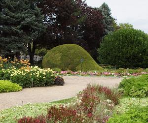 To jeden z najpiękniejszych ogrodów botanicznych w Polsce. Znajduje się na Dolnym Śląsku 