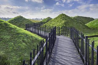 Muzeum Biesbosch w Holandii