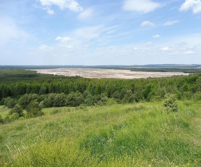 To najdziwniejsze miejsce w województwie śląskim. "Anomalia geograficzna"