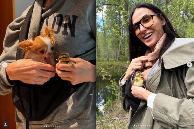 Demi Moore przygarnęła kaczki! Uratowałam je