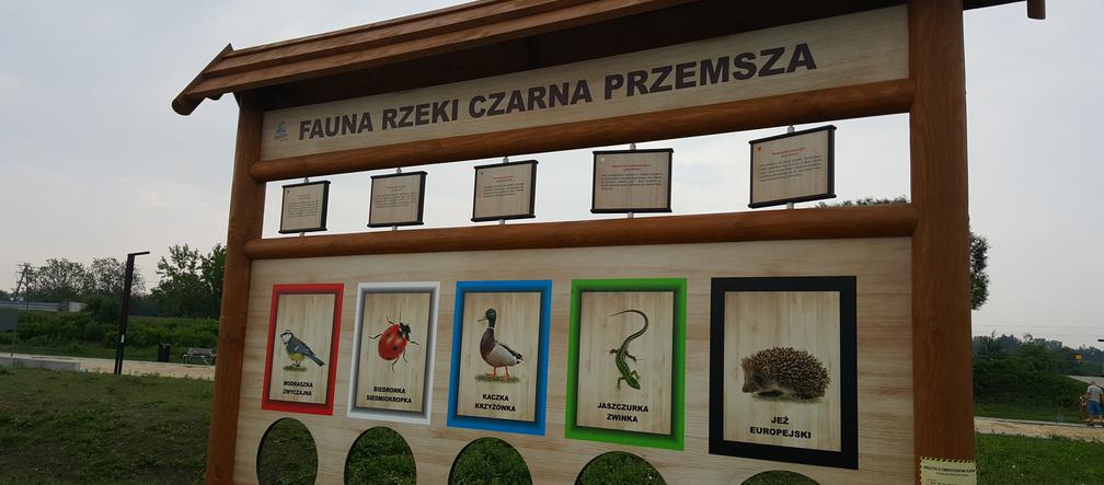 Plaża miejska w Będzinie