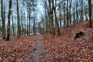 Park Zacisze