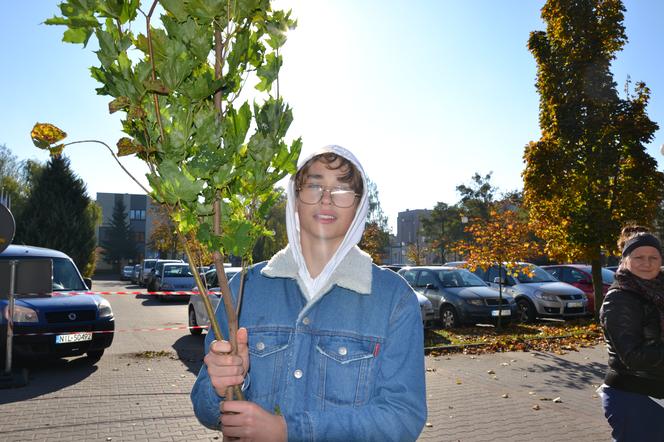 Spore zainteresowanie akcją rozdawania drzew miododajnych w Iławie