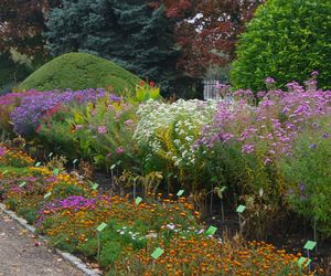 Najpiękniejszy ogród botaniczny w Polsce znów otwarty dla gości. Przygotuj się na widoki jak z bajki 