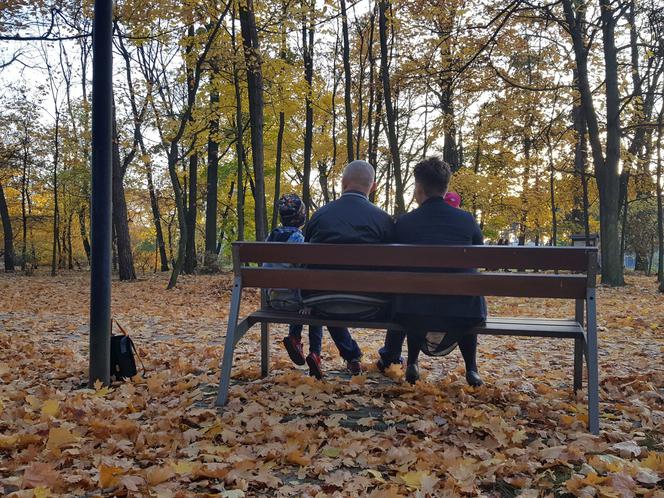 Park 1000-lecia w Lesznie na chwilę przed zachodem słońca