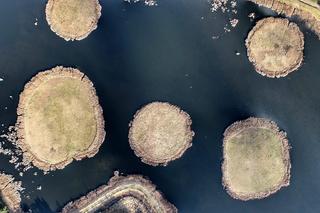 Cud natury ukryty w lesie. 9 wysp na jeziorze niedaleko Świebodzina