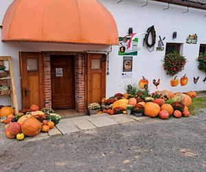 Dyniowy Zakątek,  Olszany 171