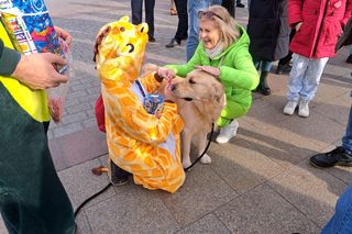 33. finał WOŚP w Krakowie. Wiadomo, ile stolica Małopolski zebrała pieniędzy. Kwota robi wrażenie!