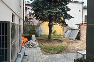 Trwają prace przy budowie parku kieszonkowego w centrum miasta 