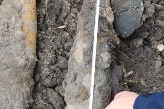 W Szubinie znaleziono pociski artyleryjskie