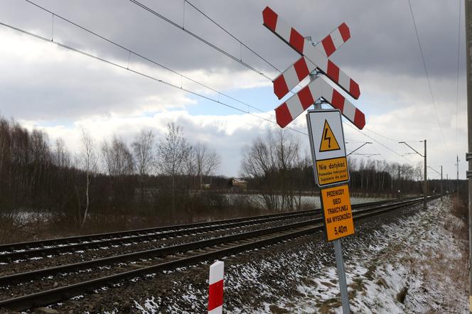 Piekło Arka wciąż trwa. W sądzie zeznawali kolejni świadkowie