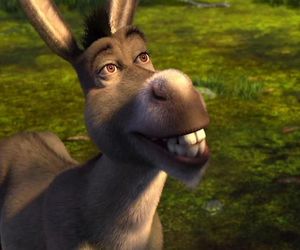 Jerzy Stuhr - mija rok od śmierci aktora