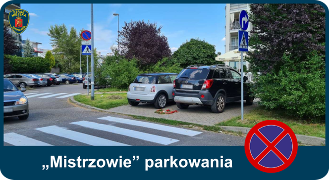 "Mistrzowie Parkowania": Tak parkują kierowcy w Warszawie