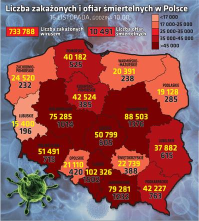 wirus Polska województwa 16 11 2020