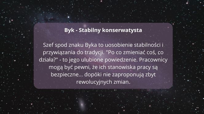 Zodiakalne style zarządzania: Kiedy gwiazdy wkraczają do biura