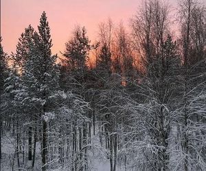 Kevin Mglej schudł ponad 40 kilogramów i teraz pozuje w samych bokserkach. Tak bawi się z Roxie w Finlandii