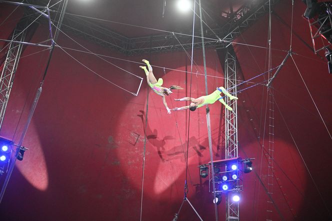 Cyrk Zalewski. Oto artyści 25. Międzynarodowego Festiwalu Sztuki Cyrkowej w Warszawie