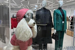 Promenada i sklepy w świątecznej odsłonie 