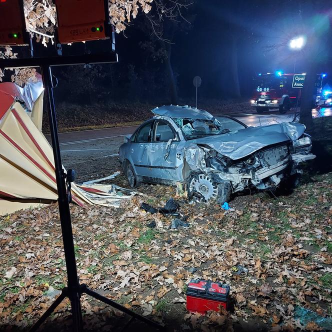 Przerażające zdjęcia z miejsca wypadku w pow. opolskim. Auto całkowicie zniszczyło przystanek