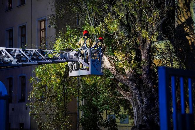 Polska pod naporem wichur! Strażacy nie mieli chwili wytchnienia