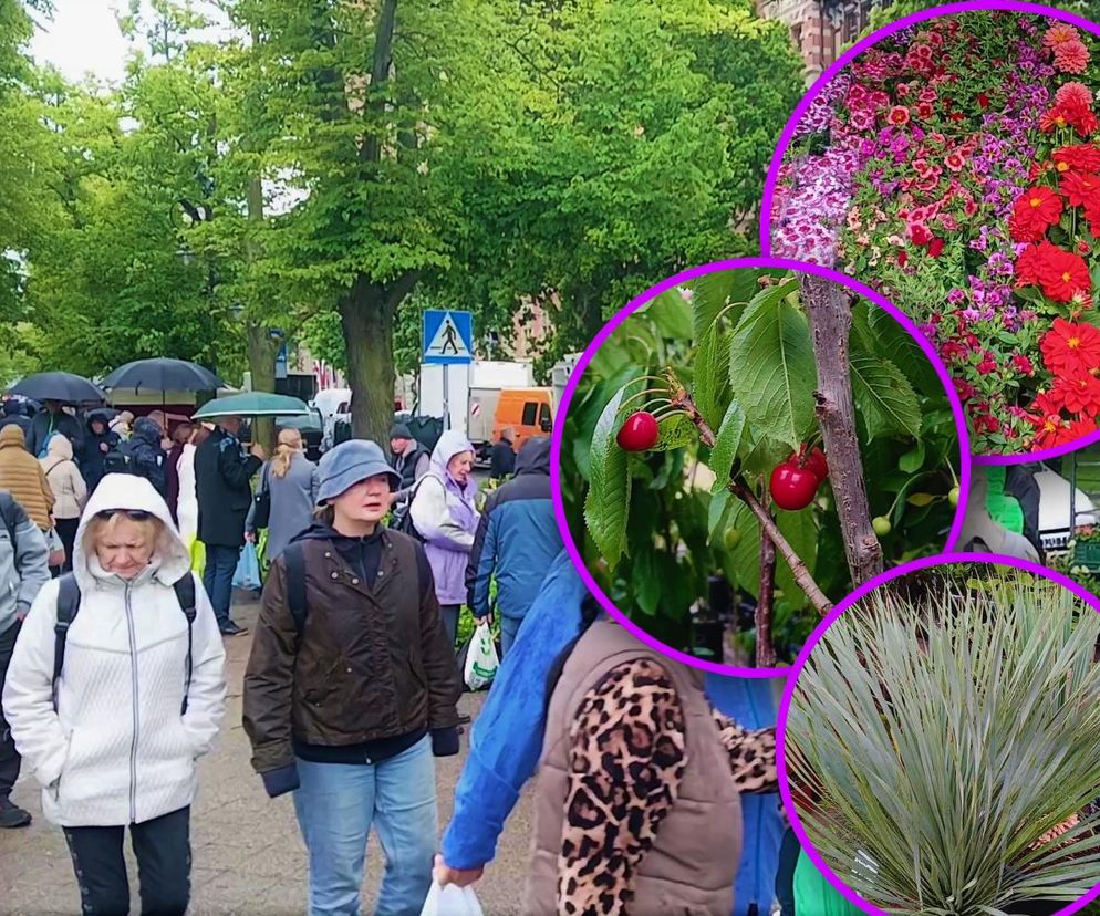 Kiermasz Pamiętajcie o ogrodach