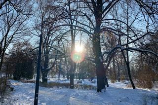 Śnieżna zima w Parku Praskim
